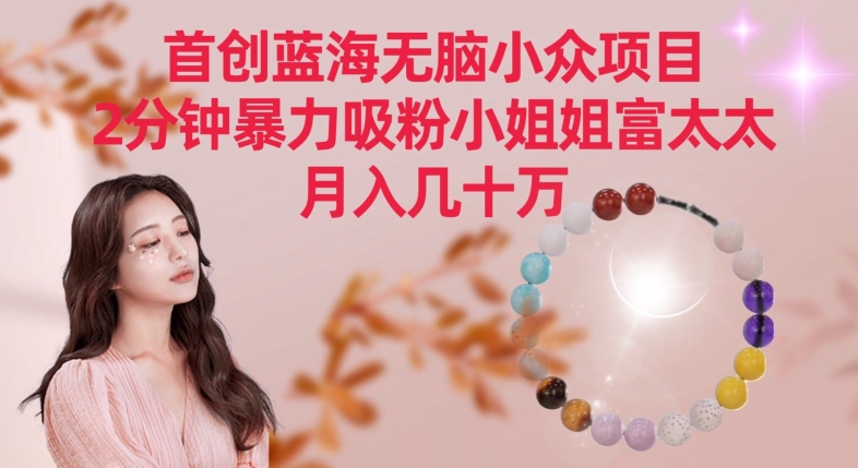 首创蓝海无脑小众项目，2分钟暴力吸粉小姐姐富太太，月入几十万-巴七创客网