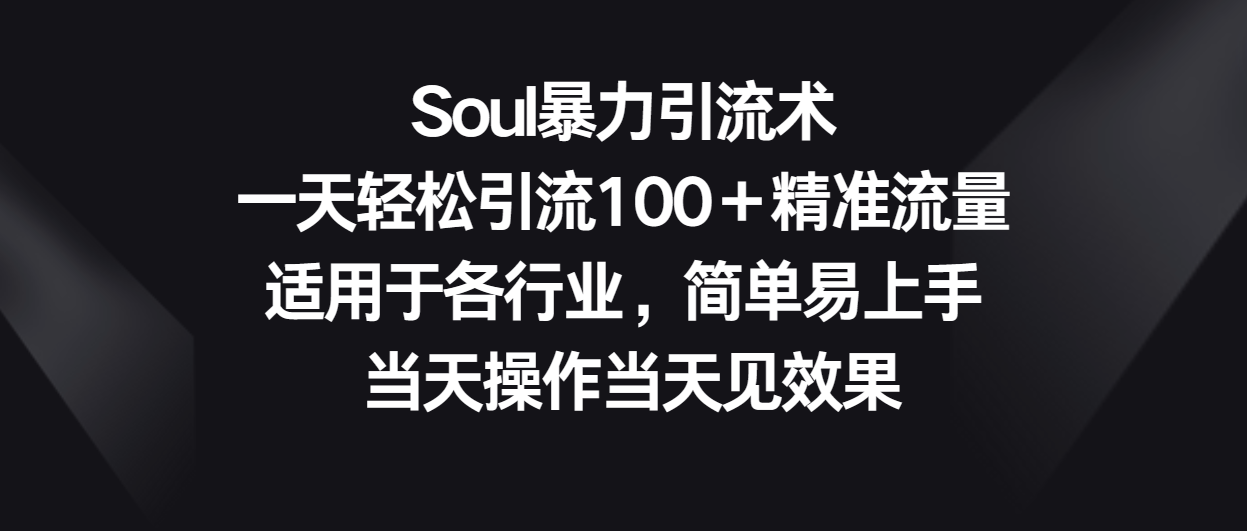 Soul暴力引流术，一天轻松引流100＋精准流量，适用于各行业，简单易上手！-巴七创客网