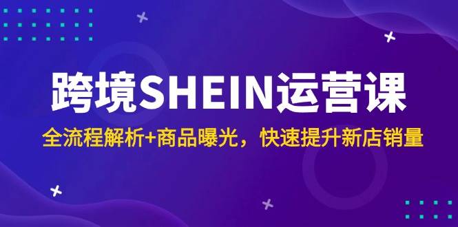 （14832期）跨境SHEIN运营课，全流程解析+商品曝光，快速提升新店销量-巴七创客网