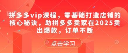 拼多多vip课程，零基础打造店铺的核心秘诀，助拼多多卖家在2025卖出爆款，订单不断-巴七创客网
