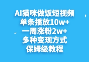AI猫咪做饭短视频，单条播放10w+，一周涨分2w+，多种变现方式，保姆级教程-巴七创客网