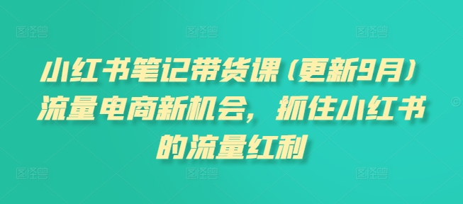 小红书笔记带货课(更新25年4月)流量电商新机会，抓住小红书的流量红利-巴七创客网