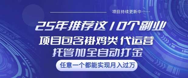 25年推荐这10个副业项目包含褂鸡类、代运营托管类、全自动打金类【揭秘】-巴七创客网