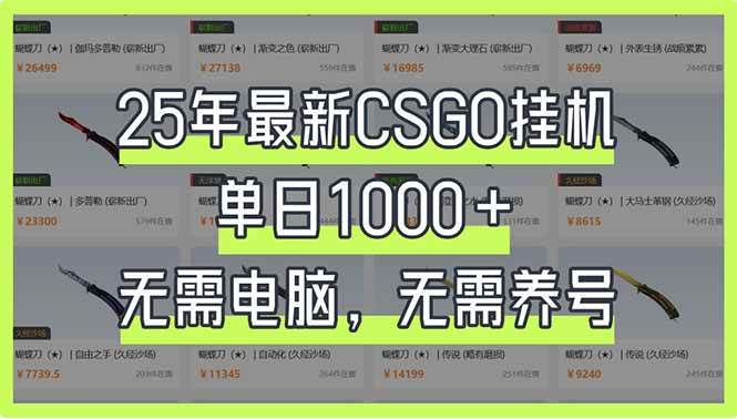 （14178期）25年最新CSGO挂机系统，单日1000+，无需电脑，无需养号，0基础可上手-巴七创客网