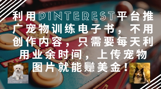 利用Pinterest平台推广宠物训练电子书，不用创作内容，只需要每天利用业余时间，上传宠物图片就能挣美金!-巴七创客网