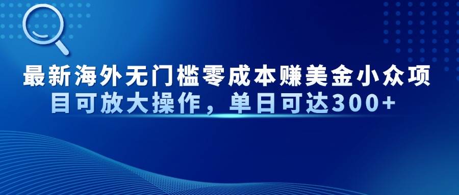 （14542期）最新海外无门槛零成本赚美金小众项目可放大操作，单日可达300+-巴七创客网